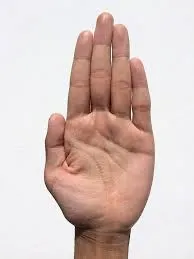 algha