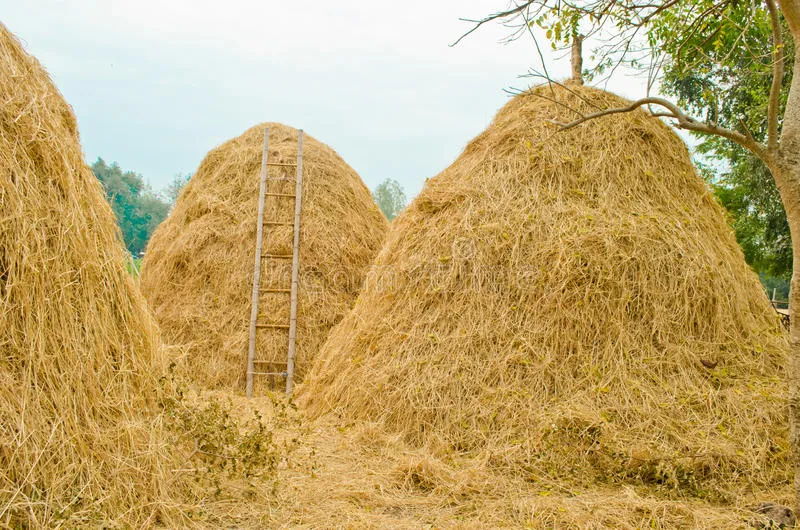 Kharwar