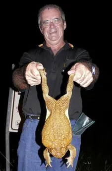 Kar Qoqri