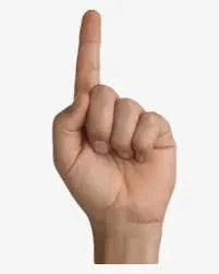 Yak