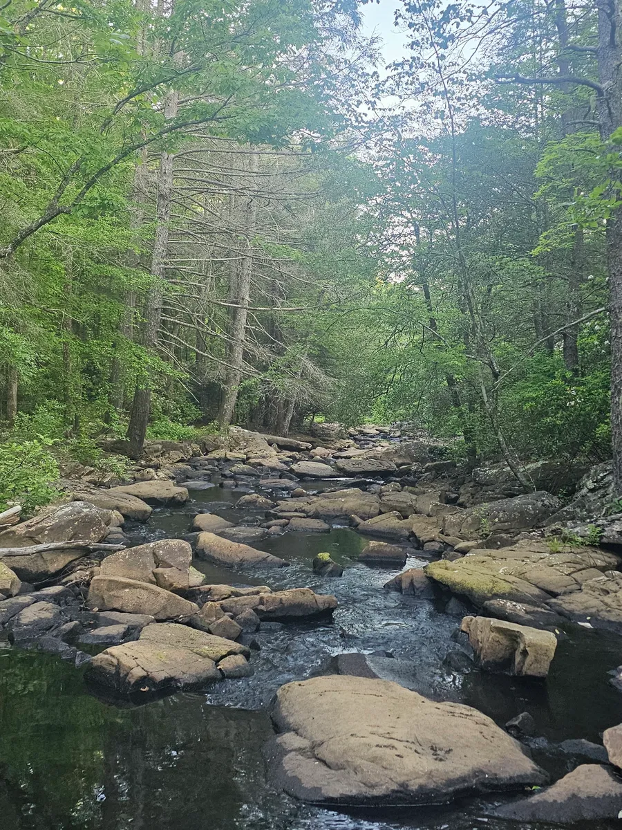 wettaapches