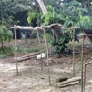 masíkùùka