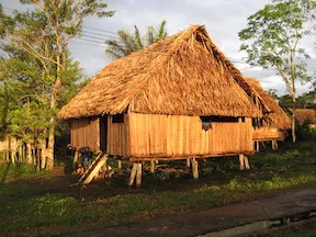 iita