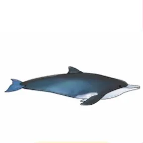 aana mɨ́ɨ́nànà