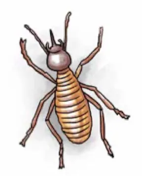 tukúrùùja