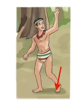awasi
