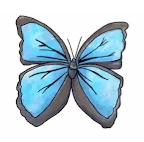múkùùti
