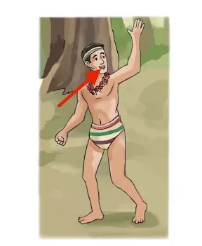nɨɨti