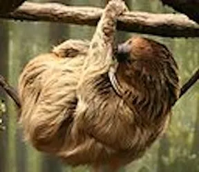 káàjì