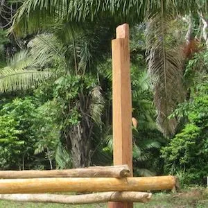 iita átìjà