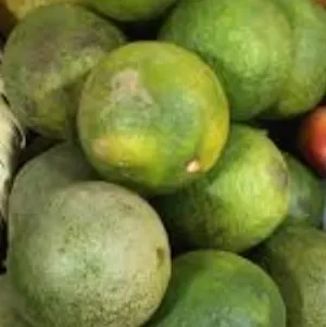 tuurúùjà
