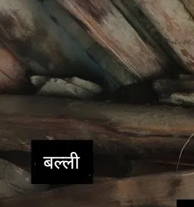 बल्ली