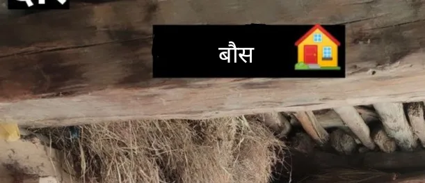 बौस