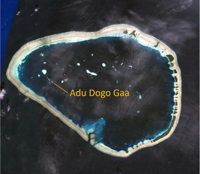 Adu Dogo Gaa