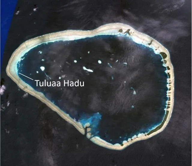 Tuluaa Hadu