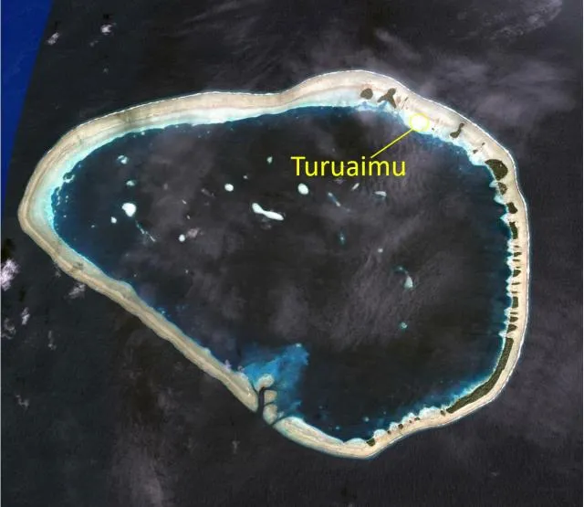 Turuaimu