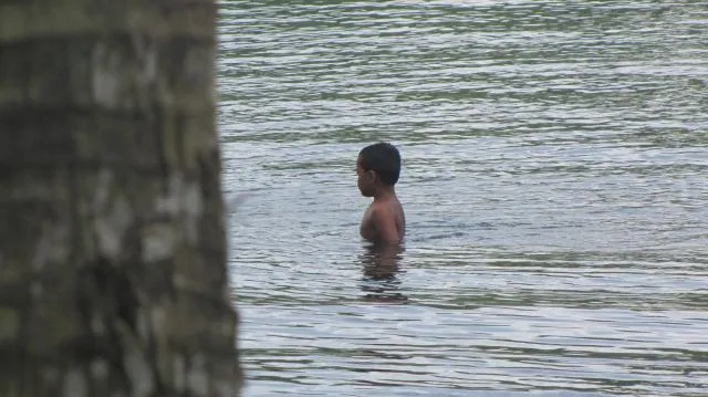 kaukau