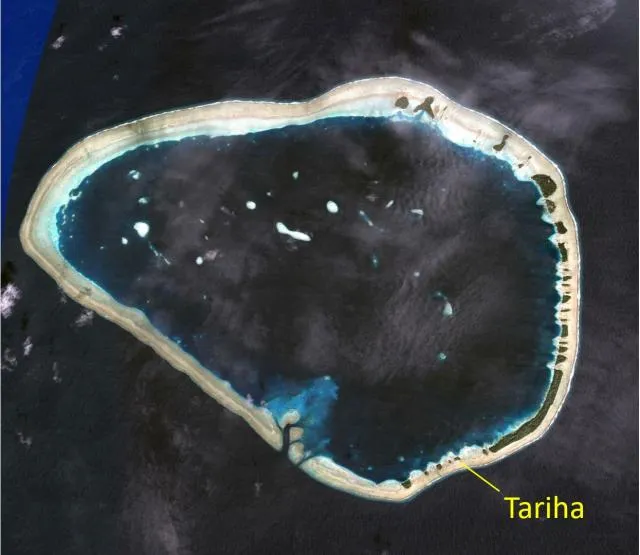 Tariha