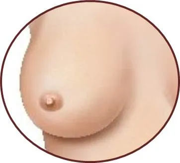 Tz'umaj