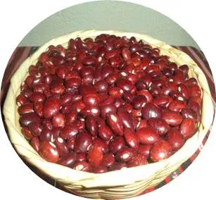 Nojnäq