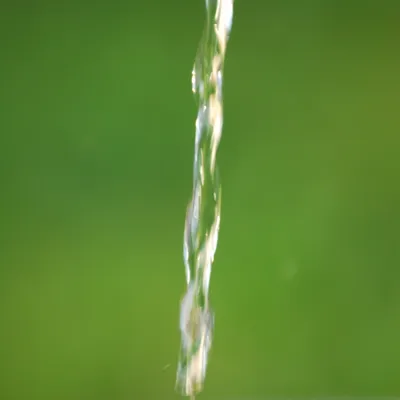 Àamùu
