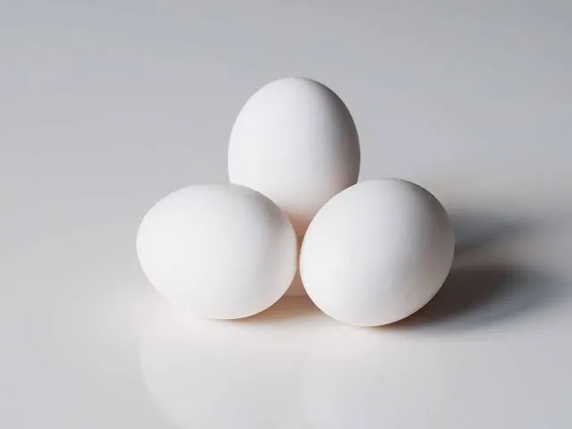 अंडा 
