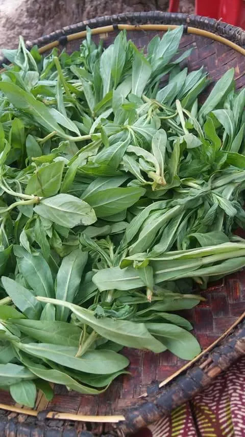 lukalifya