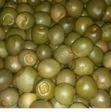 msasaati