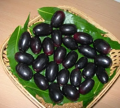 mveengi