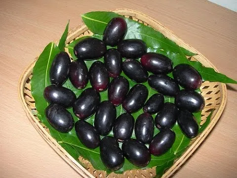 mveengi