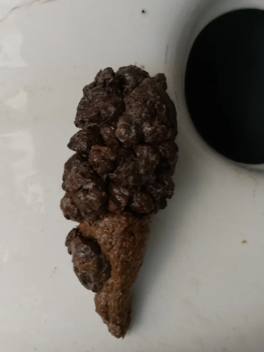 mukímbakímba/mikímbakímba