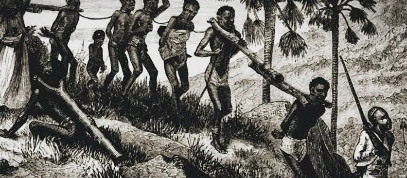 Mupfúbulwa/bapfúbulwa