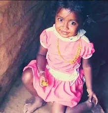 ciṉṉa pulla