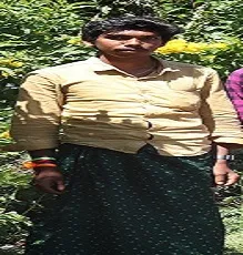 valiva paiṅka
