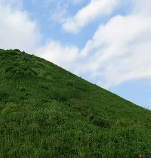 eṛakam