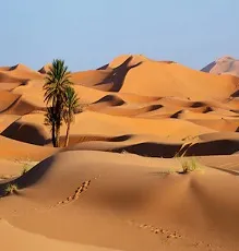 māṟupūmi