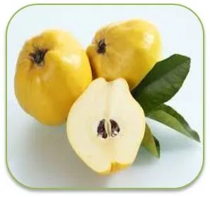 q'aẍ