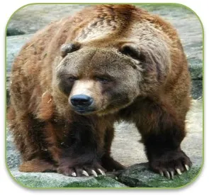 tzukab'
