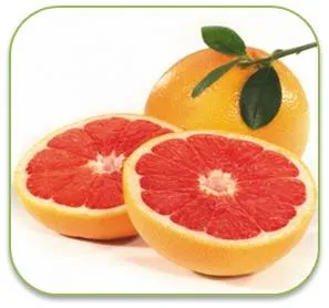 tx'moj