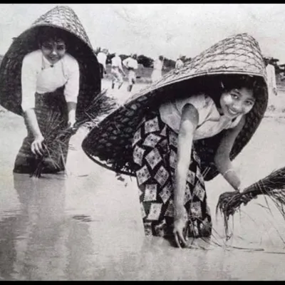 ခမောက်/ခေါမောက်