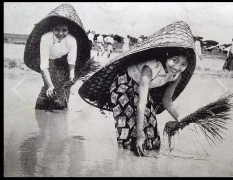ခမောက်/ခေါမောက်