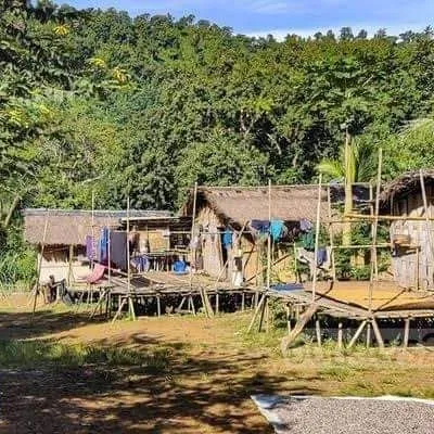 တာမျင်း