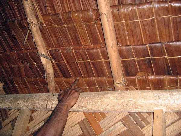 sisal