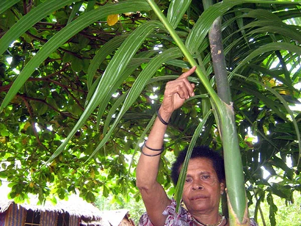 mariu pakaman