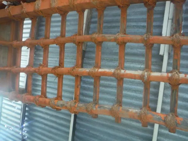 apid