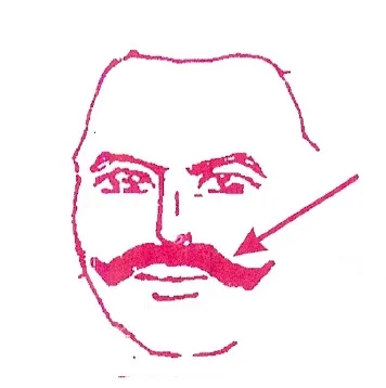 മീശ