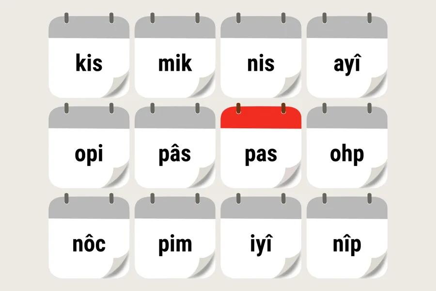 paskowipîsim