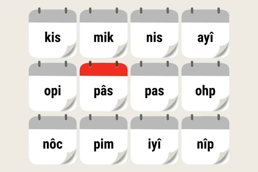 pâskâwîhôwipîsim