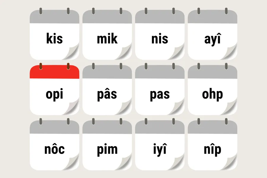 opiniyâwêwipîsim