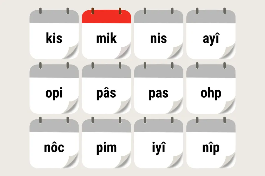 mikisôwipîsim